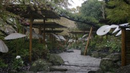Garten in Kamakura